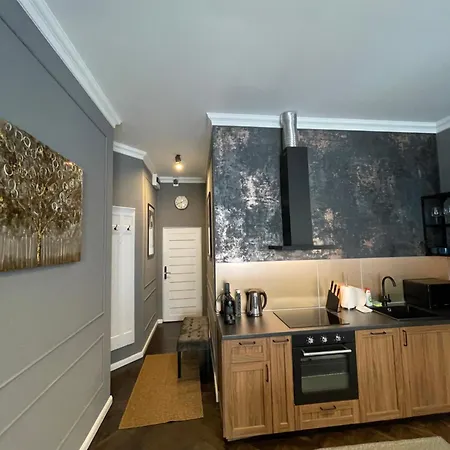 Apartament Szip Tatra Gold - Downtown Budapeszt